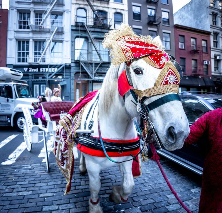 Wedding Photographers NYC