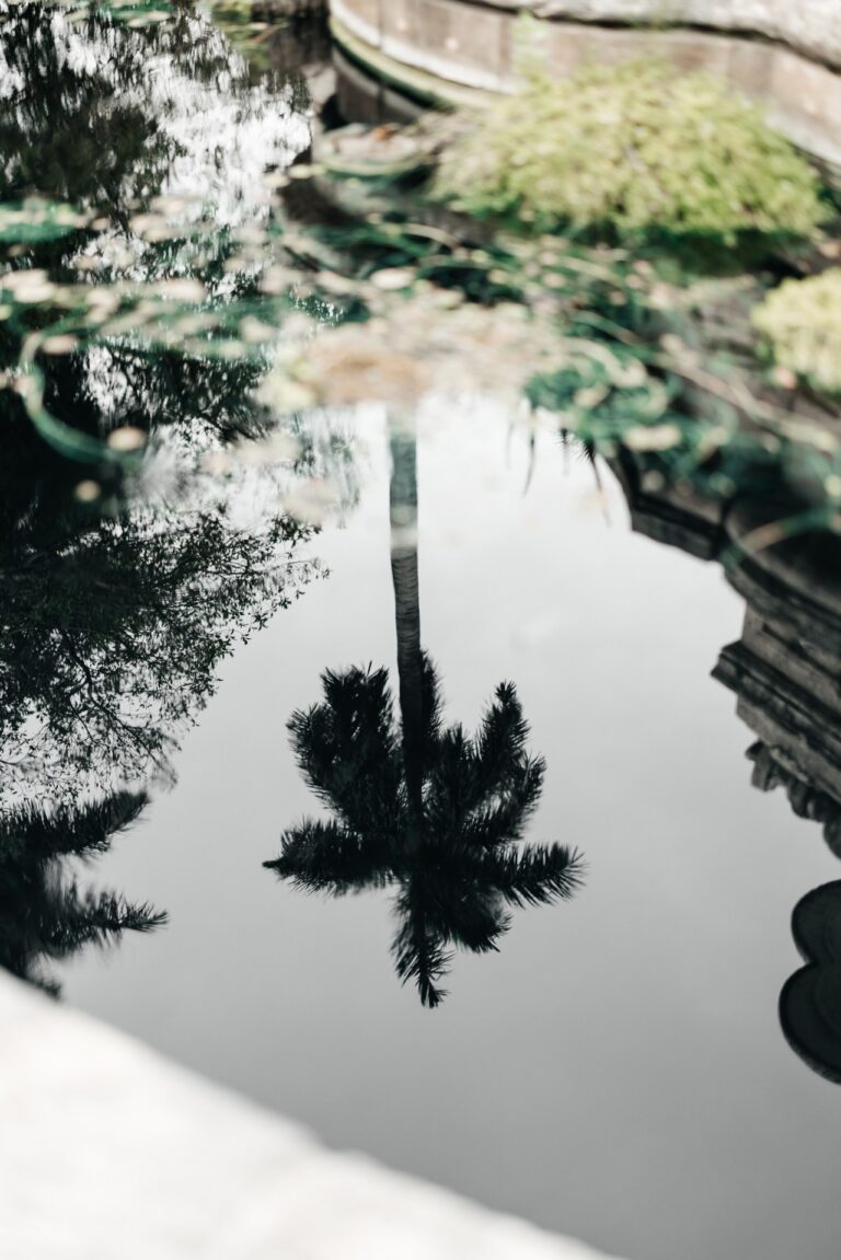 Wedding Photographers NYC